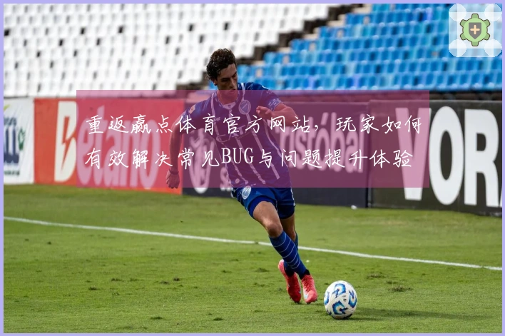 重返赢点体育官方网站，玩家如何有效解决常见BUG与问题提升体验