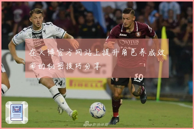 在火博官方网站上提升角色养成效率的秘密技巧分享