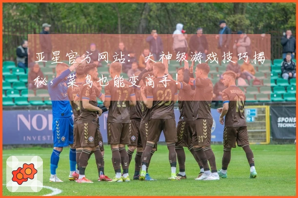 亚星官方网站：大神级游戏技巧揭秘，菜鸟也能变高手！