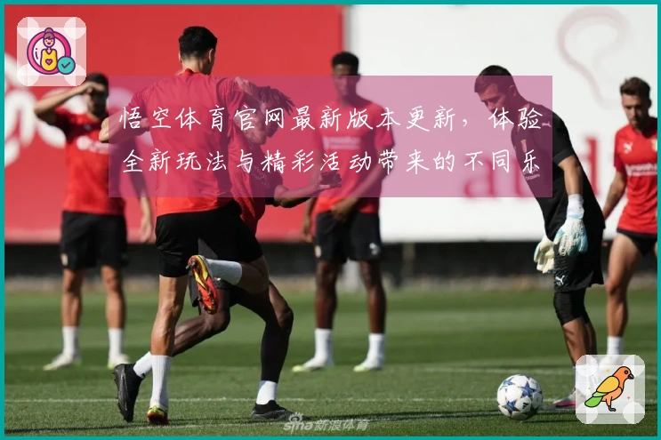 悟空体育官网最新版本更新，体验全新玩法与精彩活动带来的不同乐趣