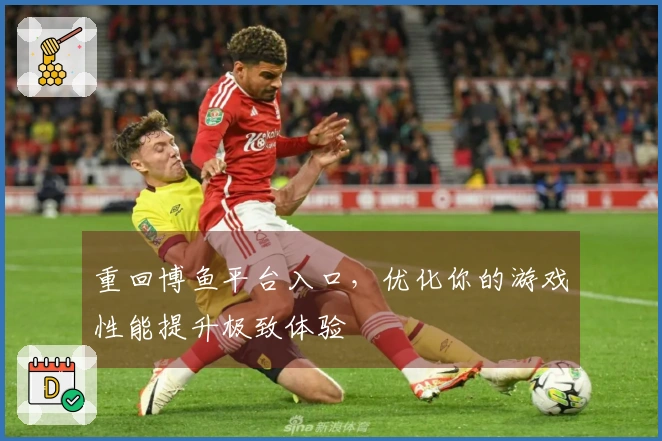 重回博鱼平台入口，优化你的游戏性能提升极致体验