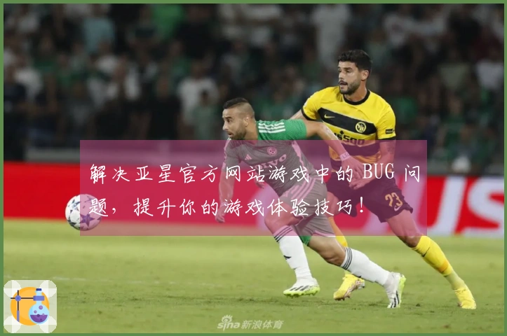 解决亚星官方网站游戏中的 BUG 问题，提升你的游戏体验技巧！