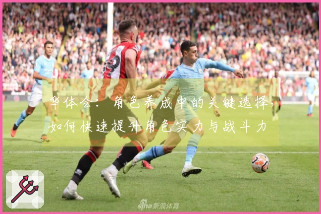 华体会：角色养成中的关键选择，如何快速提升角色实力与战斗力